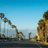 Palm-lined California street as California leads four states with significant payroll gains in August 2026